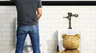 Ted, pluszowy miś z dzieciństwa głównego bohatera, pewnego dnia ozywa