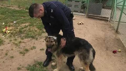 Policjant z Olsztynka uratował psa. Teraz chce go przygarnąć