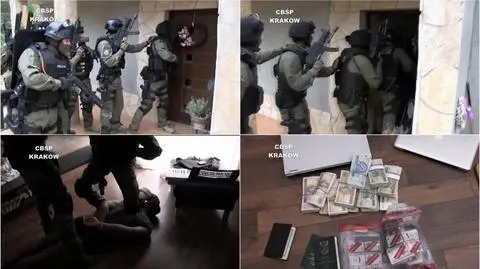 Międzynarodowa akcja policji. Zatrzymali podejrzanych o pishing