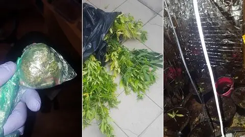 Przed policją uciekali przez trawnik i balkony