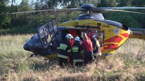 Samochód rozbił się na drzewie. Czterech rannych, helikopter na ratunek