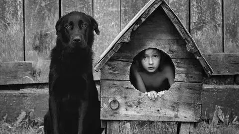 Pies i syn fotografa - ulubieni modele