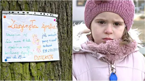 Szczecin: poszukiwania pluszowej żyrafki