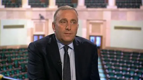 Grzegorz Schetyna w "Faktach po Faktach"