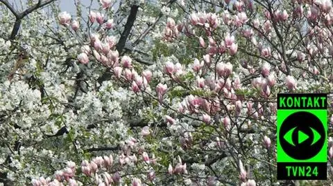 Wreszcie wychodzi słońce