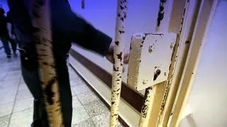 Ukradła samochód, kluczyki do mieszkania i telefon. 