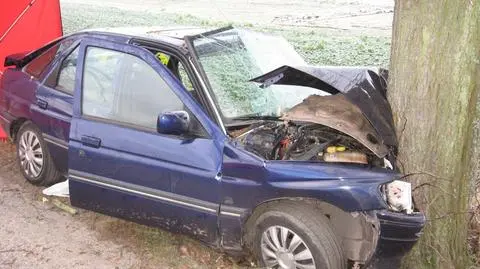 Kwidzyn: Auto uderzyło w drzewo. Dwie ofiary