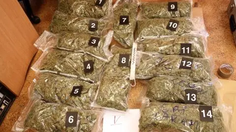 Elbląg. Przejęli marihuanę wartą 1,6 miliona złotych