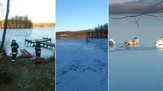 Strażacy ratowali przymarznięte łabędzie