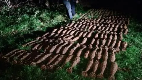 Ponad 200 niewybuchów w ogrodzie. "Stwarzały realne zagrożenie"