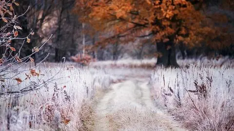 Pogoda na pięć dni: dwa potężne układy nad Polską. Aura podzieli kraj