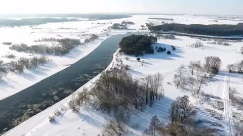 Najciekawsze wideo tygodnia w tvn24.pl wybrane