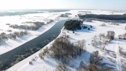 Wybraliście najciekawsze wideo tygodnia w tvn24