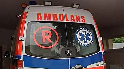 Dziecko ukąszone przez żmiję. Szpital nie pomógł