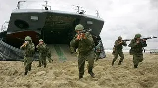 Zastępca sekretarza generalnego NATO ocenia, że po ostatnich wydarzeniach Rosja powinna być traktowana przez Sojusz jako "przeciwnik, a nie partner" 