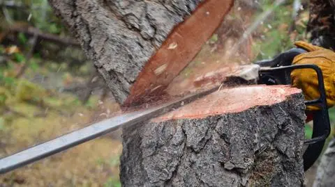 Jakie zmiany zakłada projekt posłów PiS?