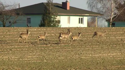 Stasiuk zaskarżył decyzję o wyznaczeniu obwodu łowieckiego na prywatnym terenie