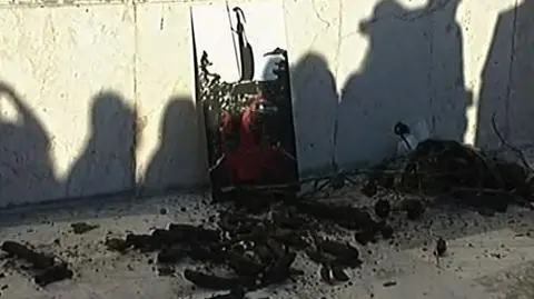 Grecy żądają rekultywacji lasów