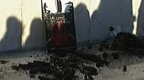 Ateńczycy walczą o "zielone płuca"