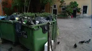 Kraków uruchomił infolinię ws. nowych zasad wywozu śmieci