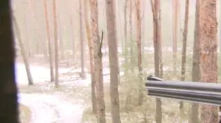 Myśliwy postrzelił swojego kolegę