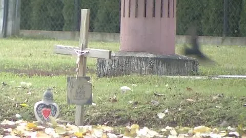 Polska i Świat. Znikające krzyże