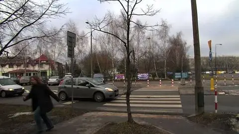 Drzewo w chodniku to już "klasyk"