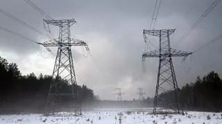 Poland plans to put Innogy power distributor on protected list