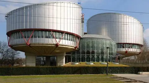 Trybunał w Strasburgu: Nazywanie władzy "palant" dopuszczalne