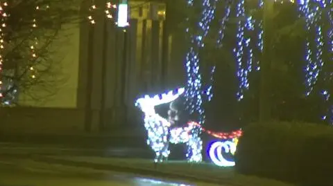 Uszkodzili iluminację świąteczną w centrum miasta 