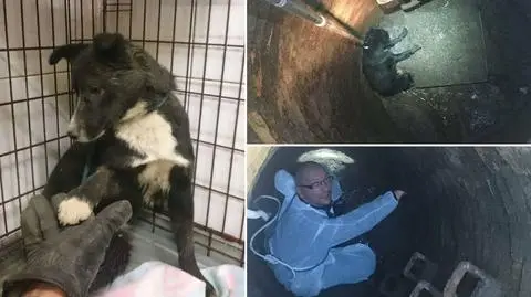 Najpierw się bał, potem podał łapę - podziękował za uratowanie życia