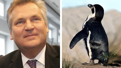 Kwaśniewski o lewicy XXI wieku