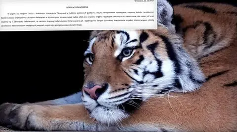 Oświadczenie w obronie lekarza granicznego (wideo archiwalne)