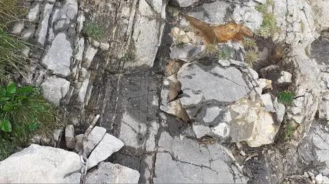 Giewont. We wrześniu zacznie się remont szlaku