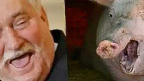 "Solidarność": Znajdź różnice