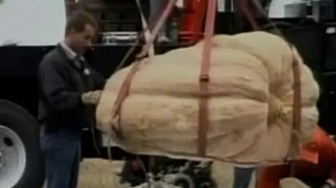 Dynią w... samochód