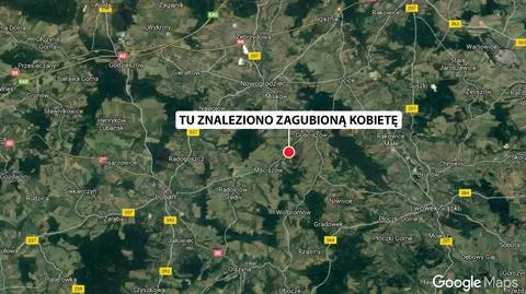 Dolny Śląsk: zamiast do domu nawigacja wyprowadziła do lasu