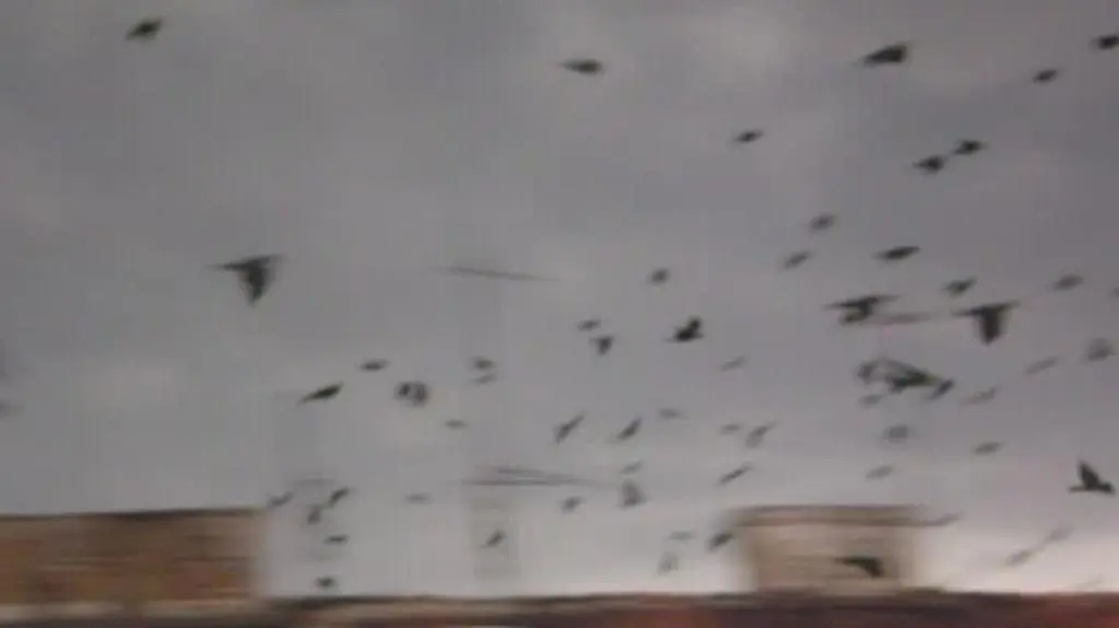 Chmura znad jeziora Śniardwy przeszła też nad Ełkiem (film internautki Renaty)