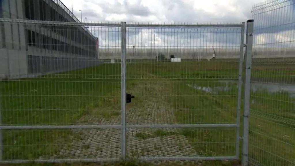 Chronione płazy przy Stadionie Miejskim