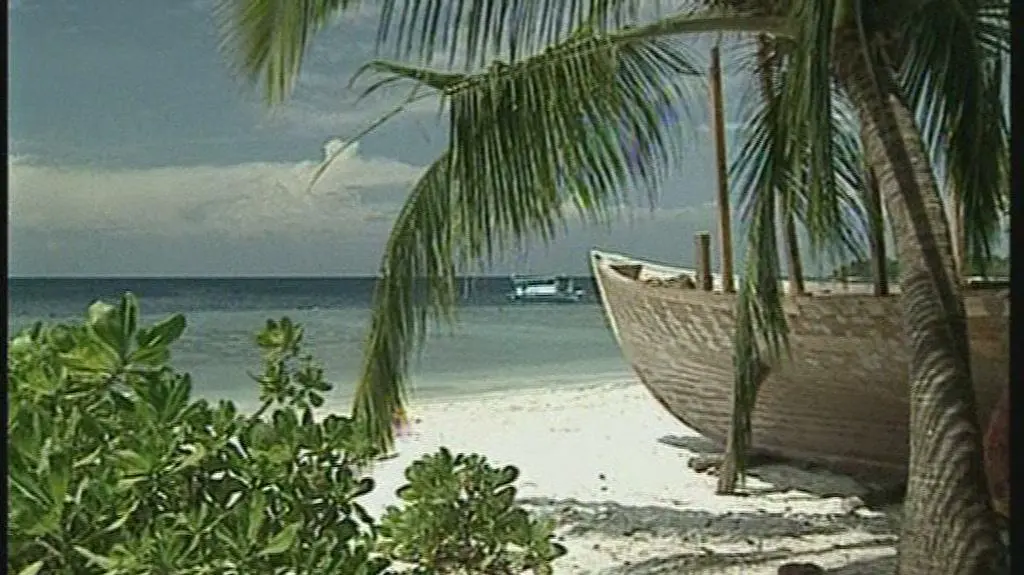 Ciąg Dalszy Nastąpił: lipiec 2001. Część trzecia