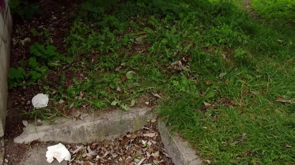 Ciało noworodka znajdowało się w zaroślach na białostockim osiedlu