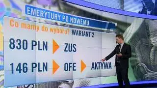Co wybrać: OFE czy ZUS? 