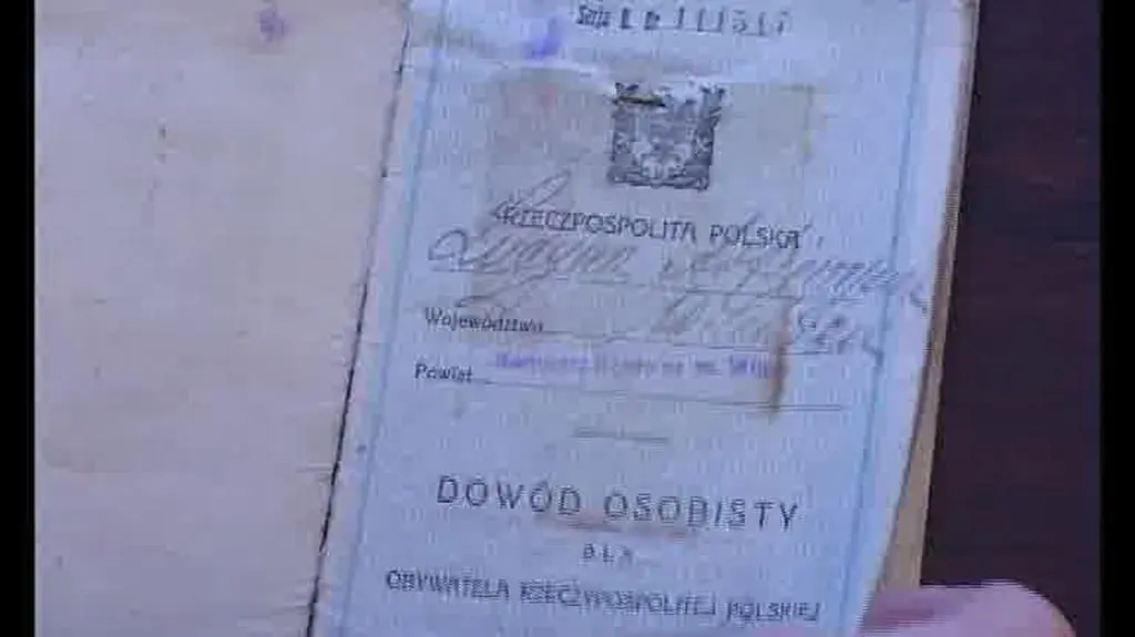 Co znajduje się w archiwum?