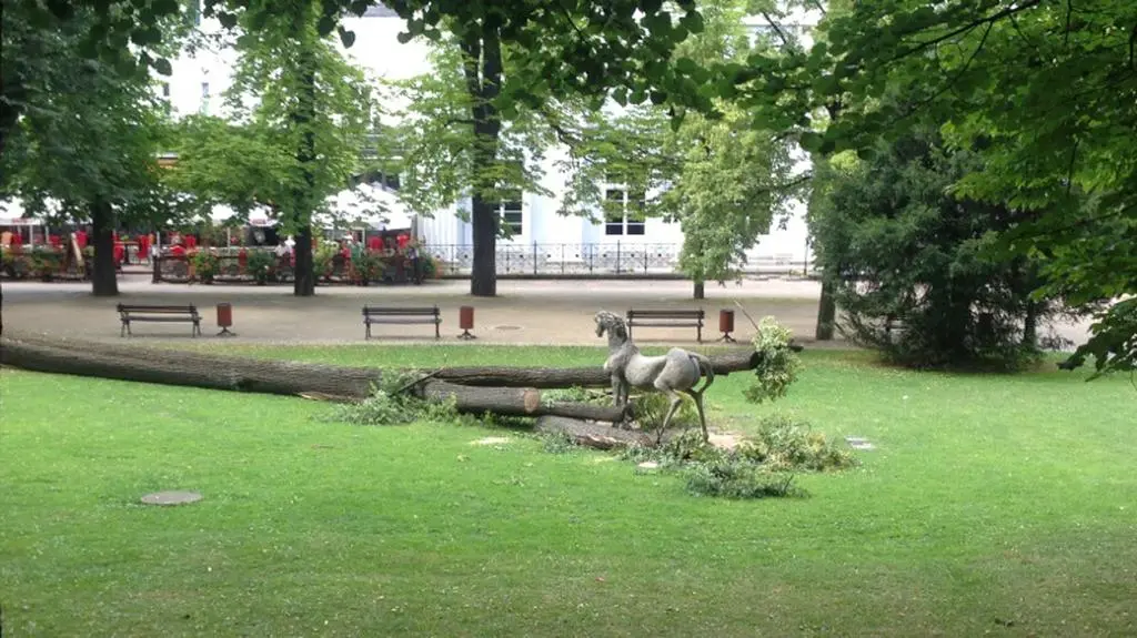 Czterolatka zginęła w parku 