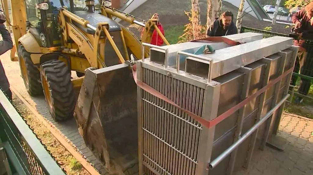 Do gdańskiego zoo przyjechały cztery lwy