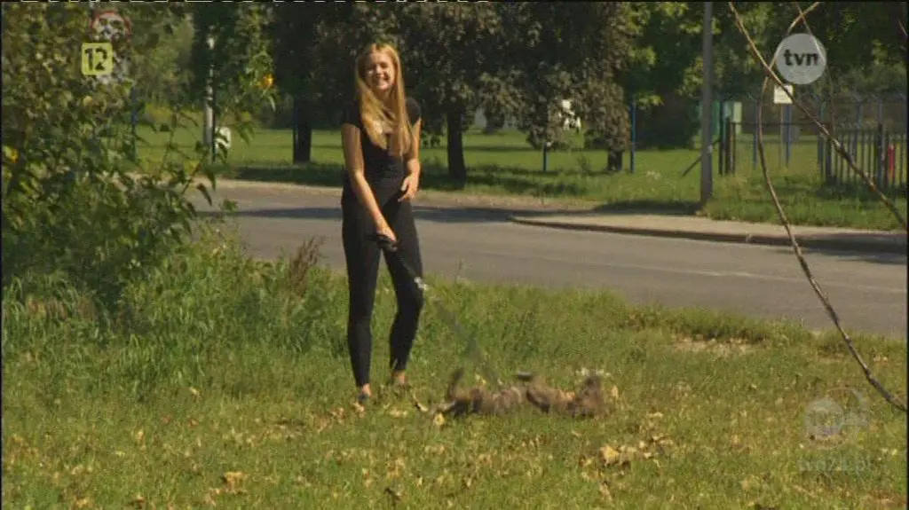 "Dobre serce" w schronisku i sesja na stole