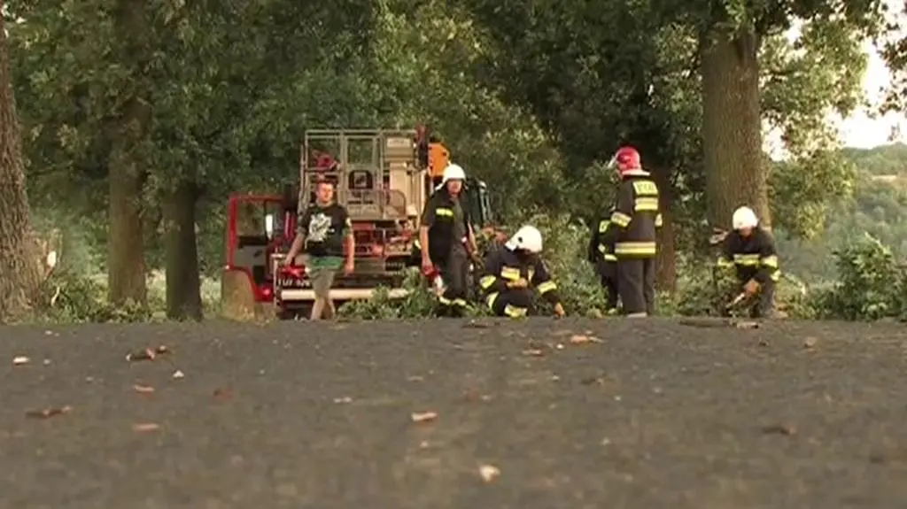 Drzewo przygniotło samochód. Dwie osoby ranne