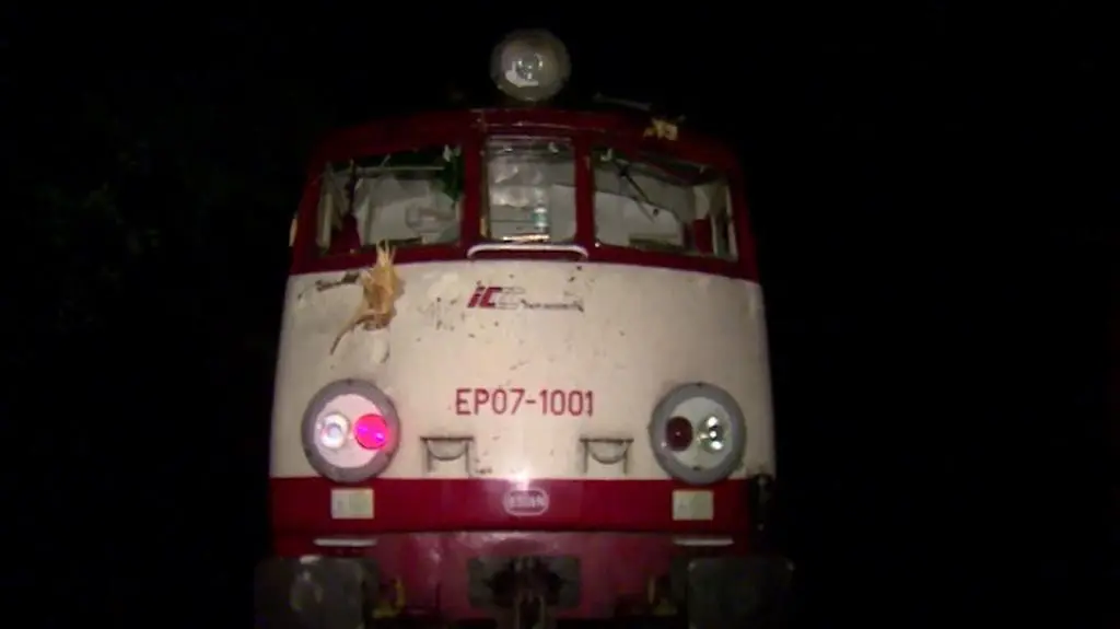 Drzewo spadło na trakcję kolejową