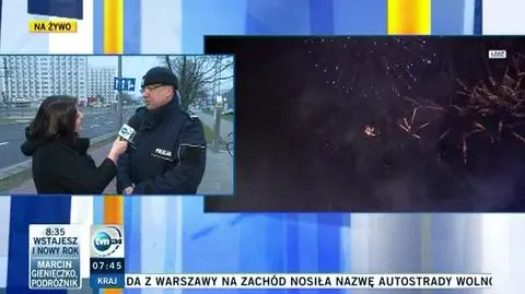 Dużo policyjnych interwencji, ale drobnych