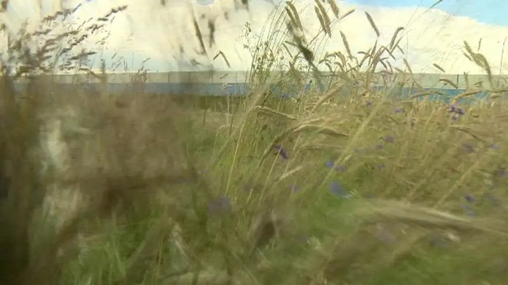 Ekrany drogie i bezsensowne?